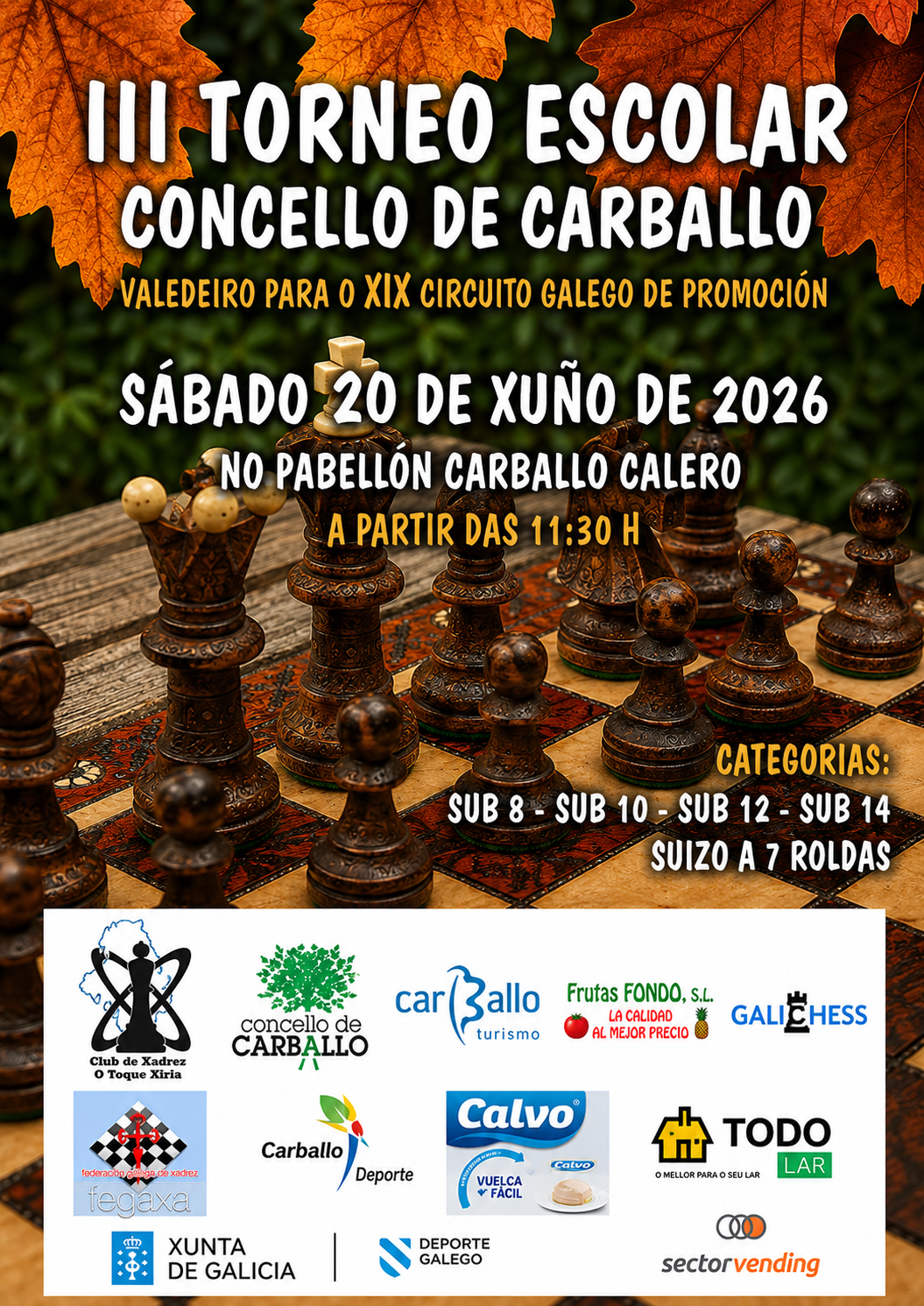 III Escolar Concello de Carballo